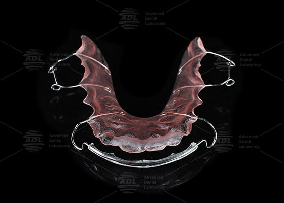 comprar Retenedor Hawley de acero inoxidable y acrílico para laboratorio dental de China para tratamiento de ortodoncia Fabricación en línea